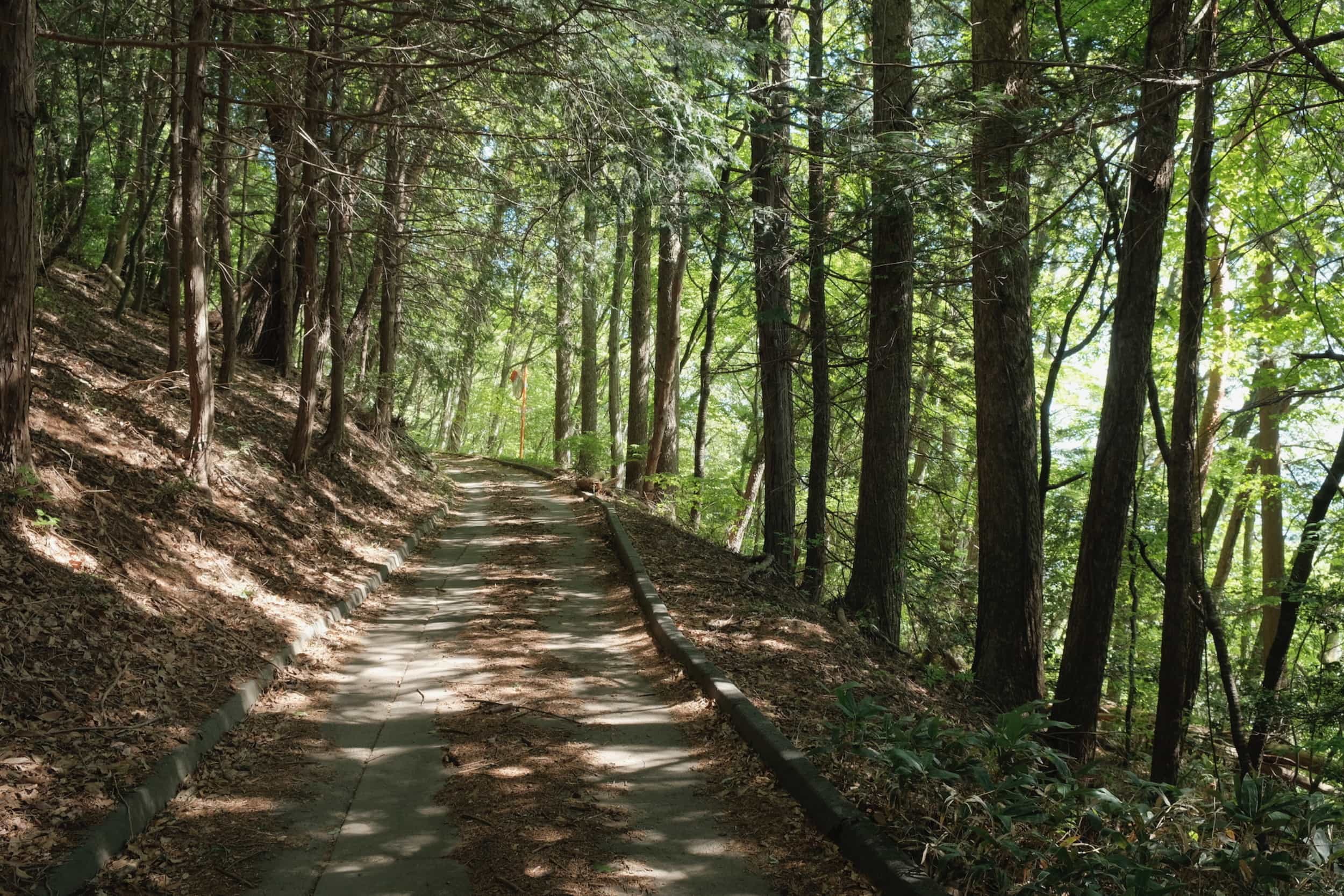 The way up the mountain to our Airbnb