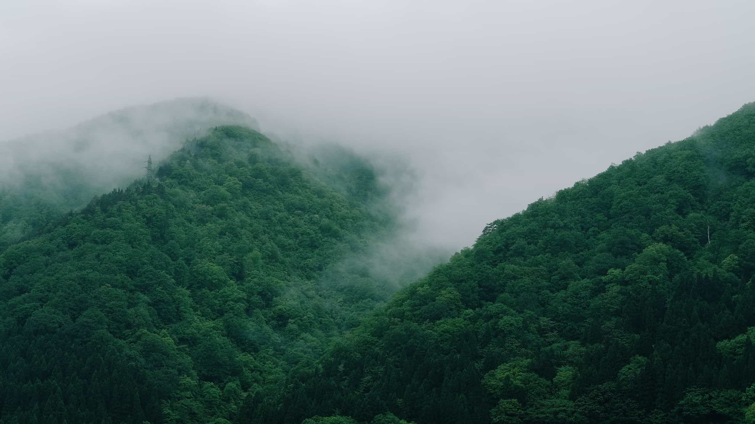 Mountains in fog