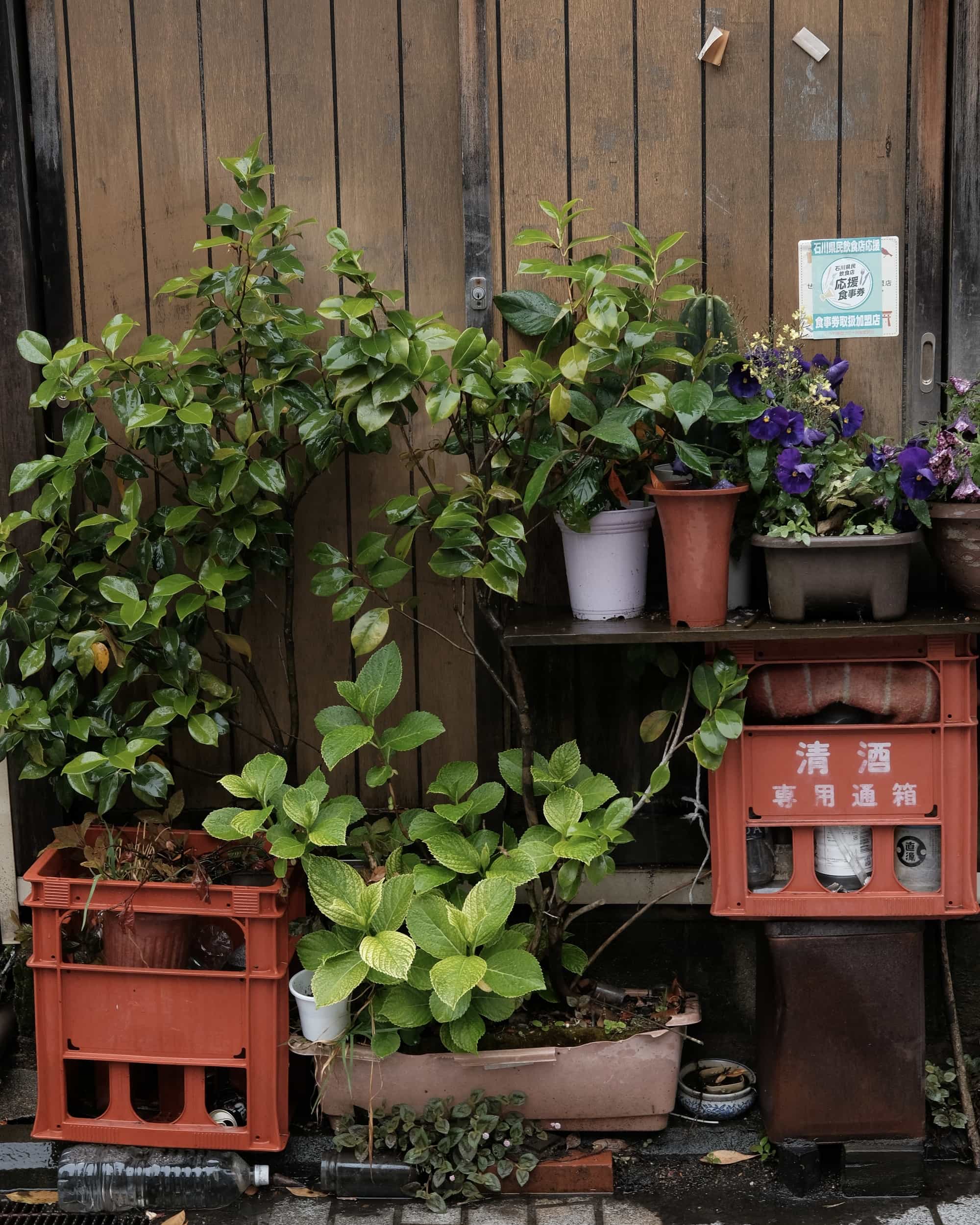 Back-alley with green and beer crates