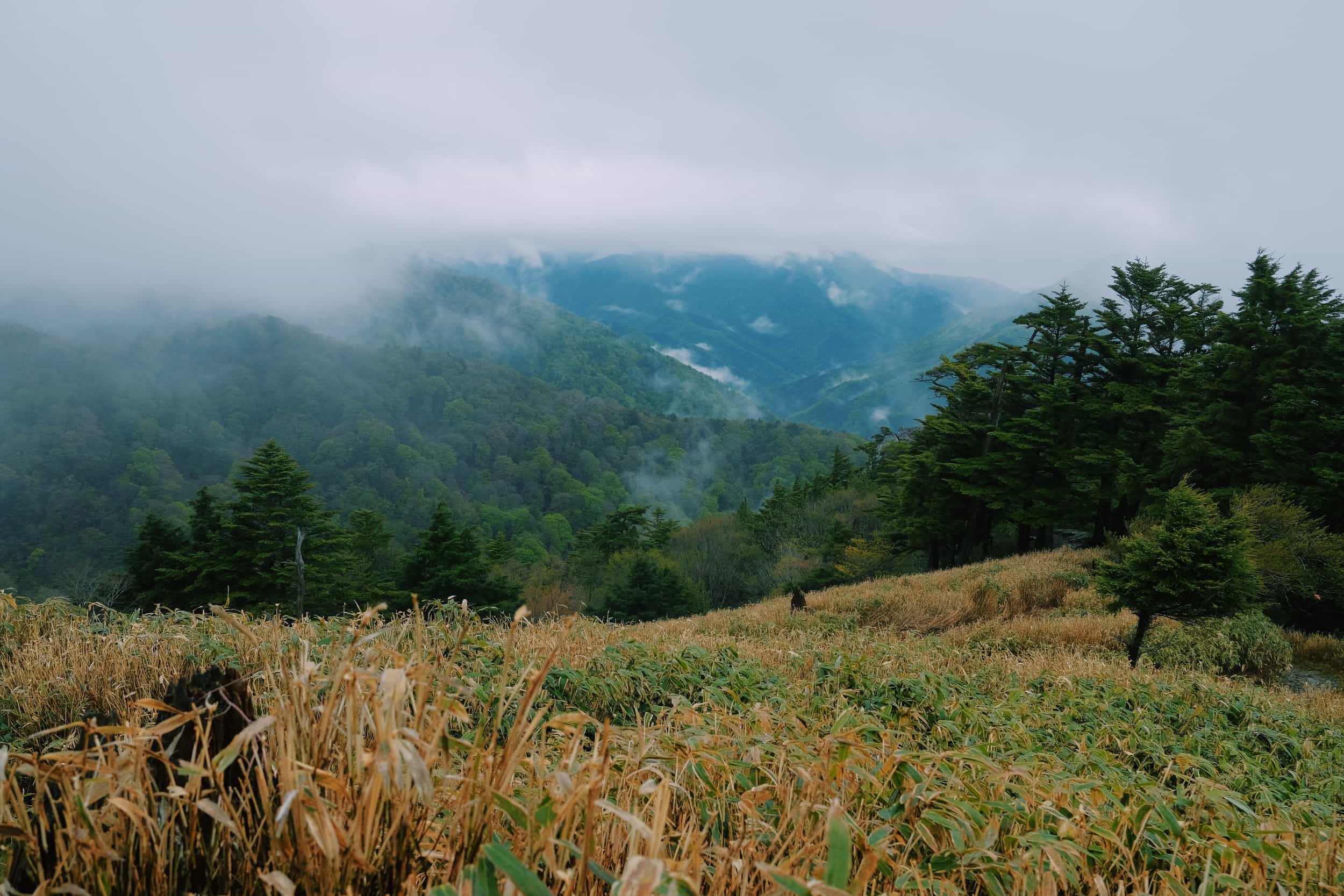 View into the cloudy valley from Hiking Trail of Tsurugisan