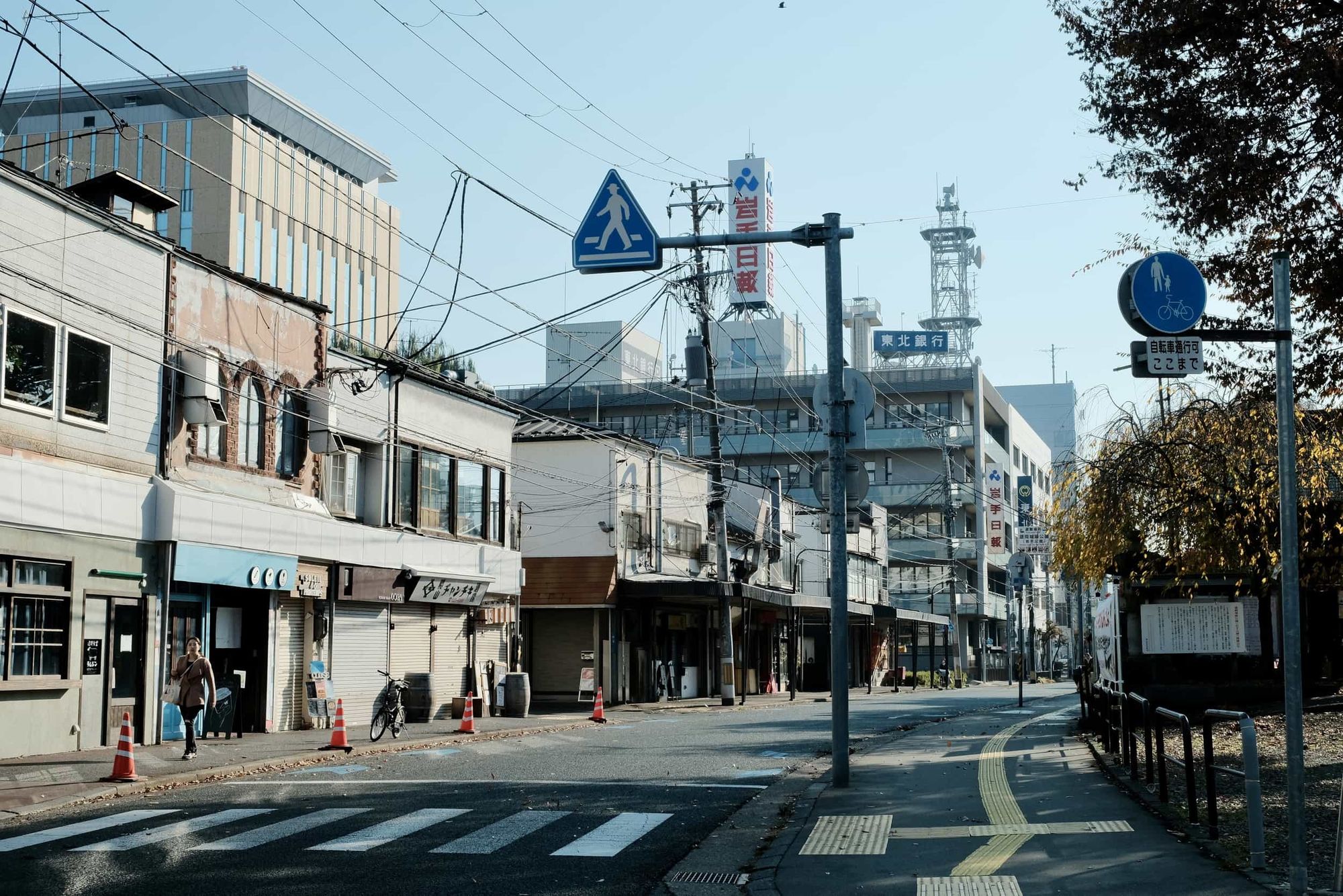 Morioka City View