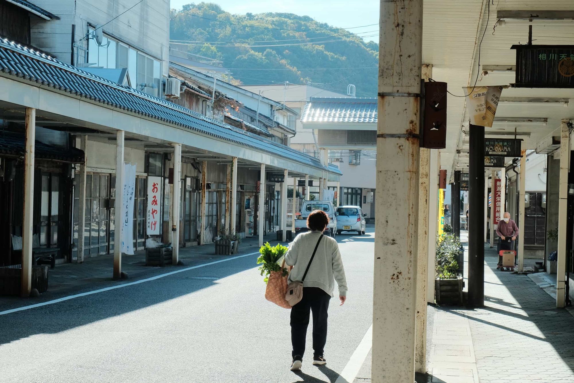 Japanese shopping-arcade