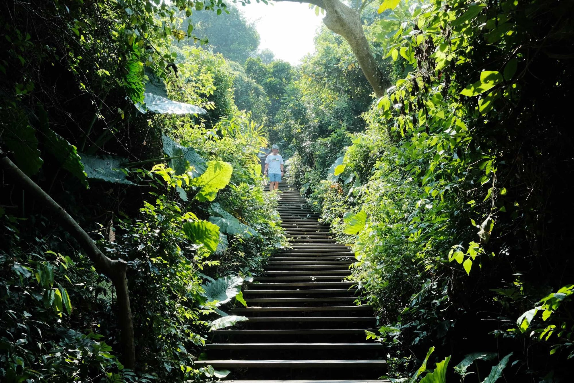 Hiking Shoushan (monkey mountain) in Kaohsiung