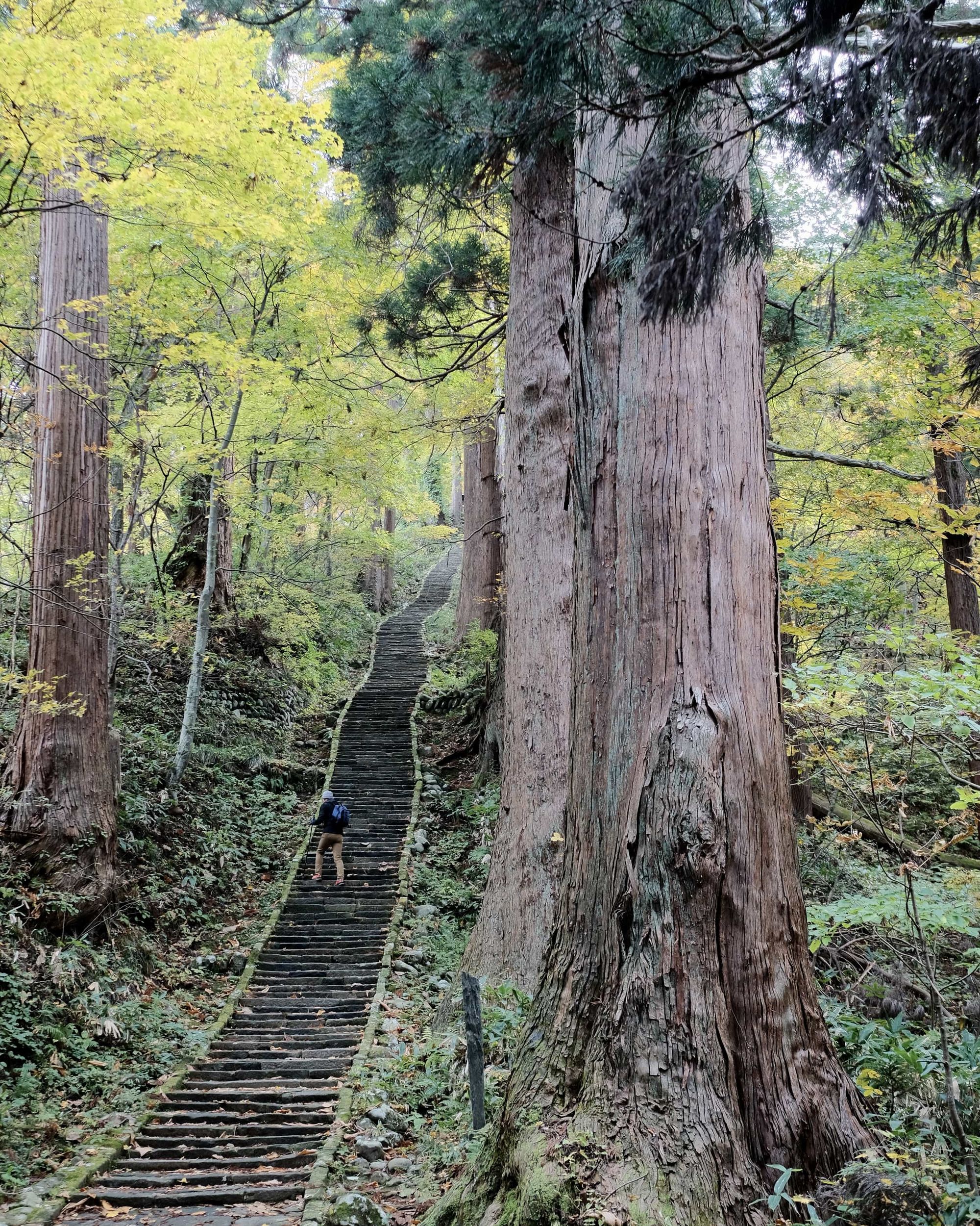 Going up the mountain