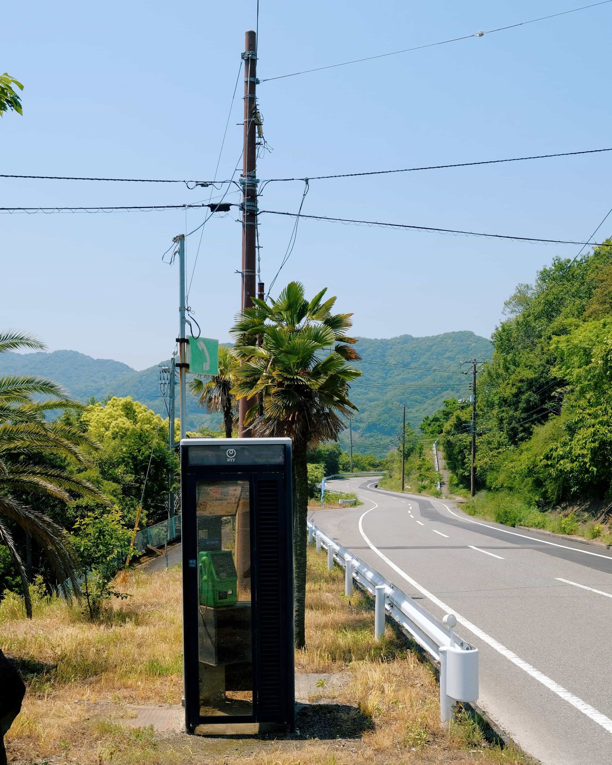 Caribean Vibes on Shōdoshima