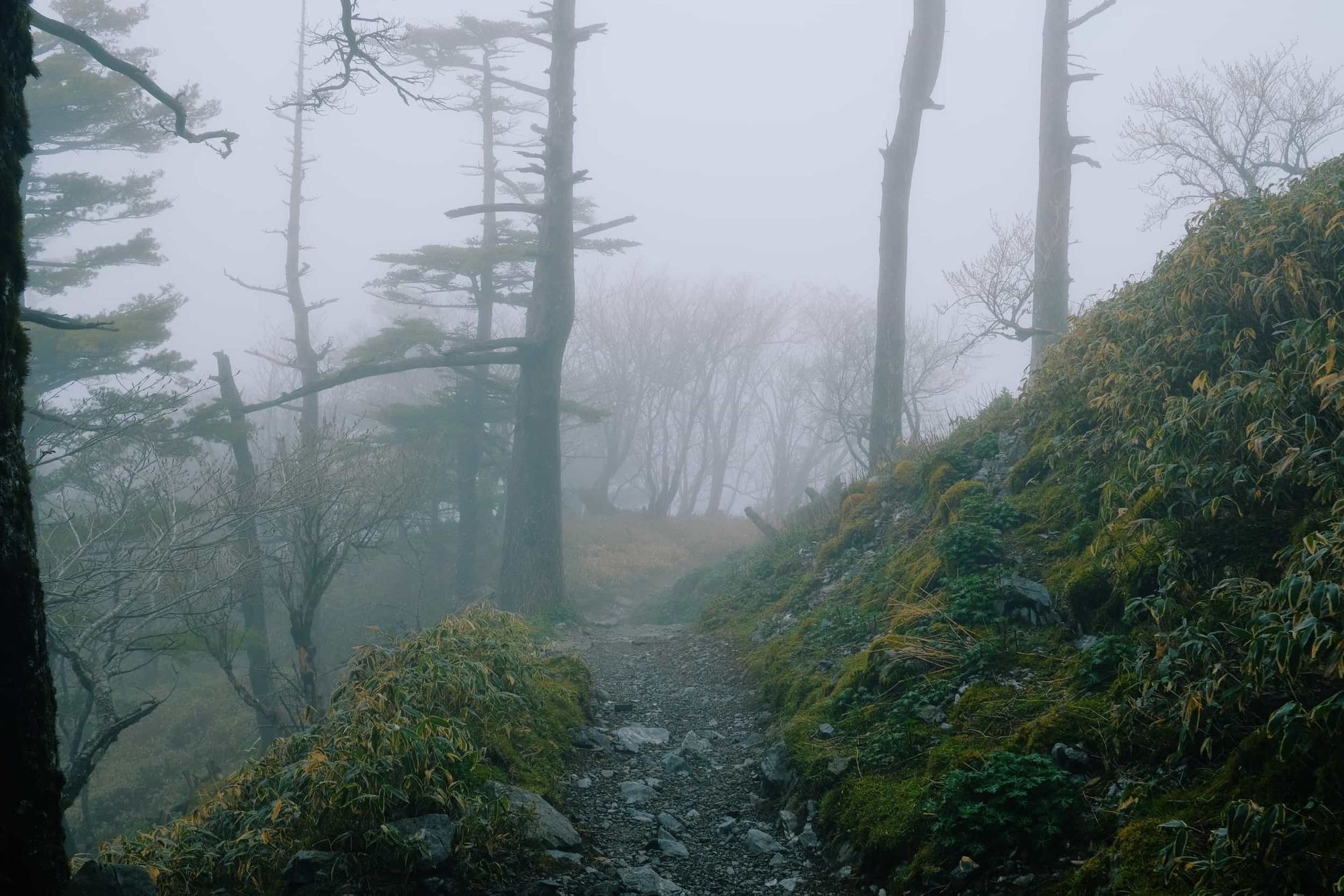 Clouds on the hiking trail of Tsurugisan