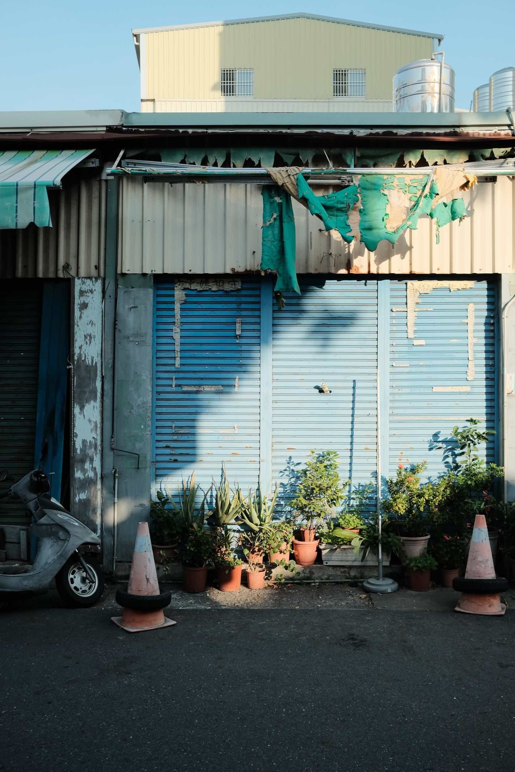 Organic decay in Tainan