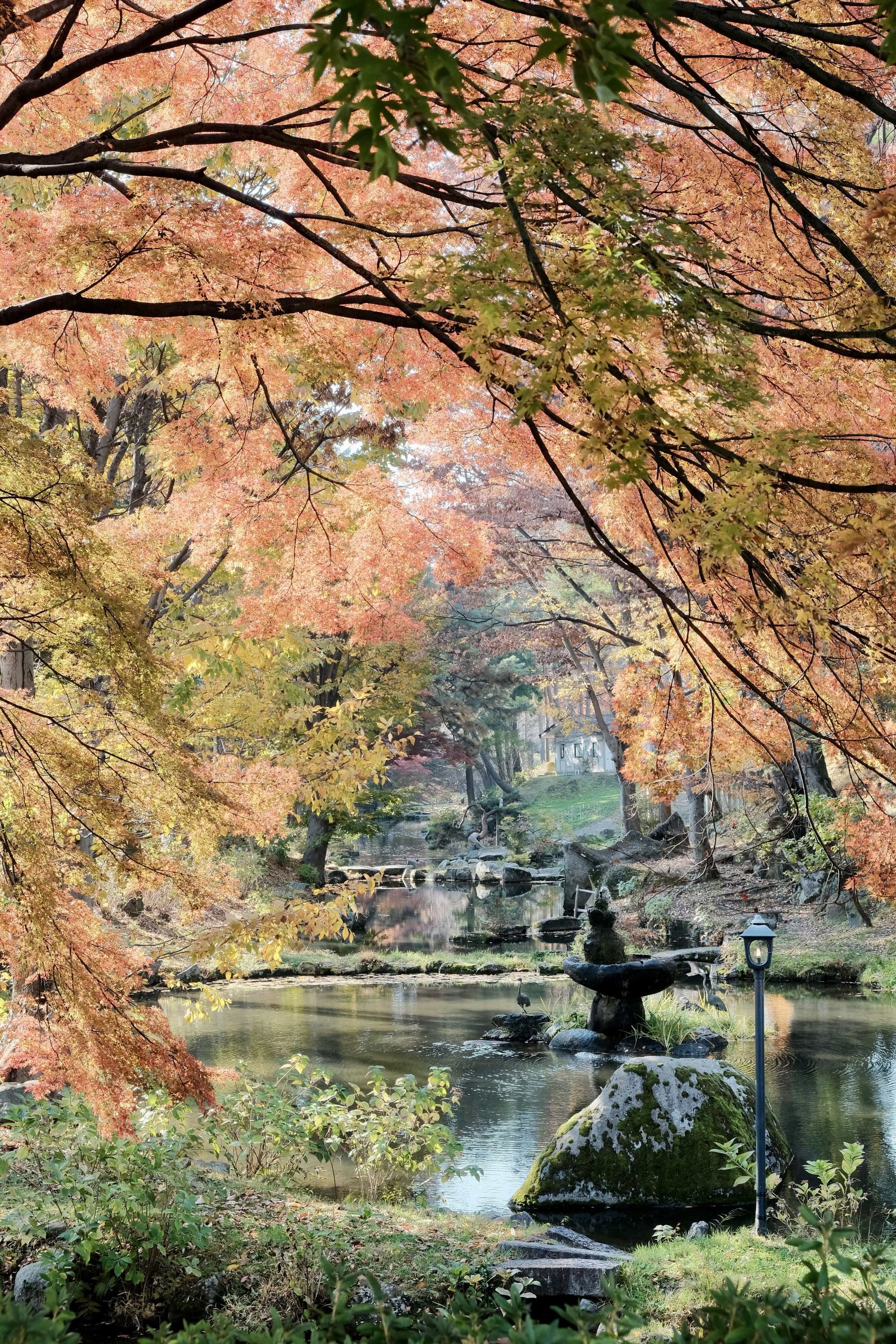 Autumn leaves at a stream close to Morioka Castle park