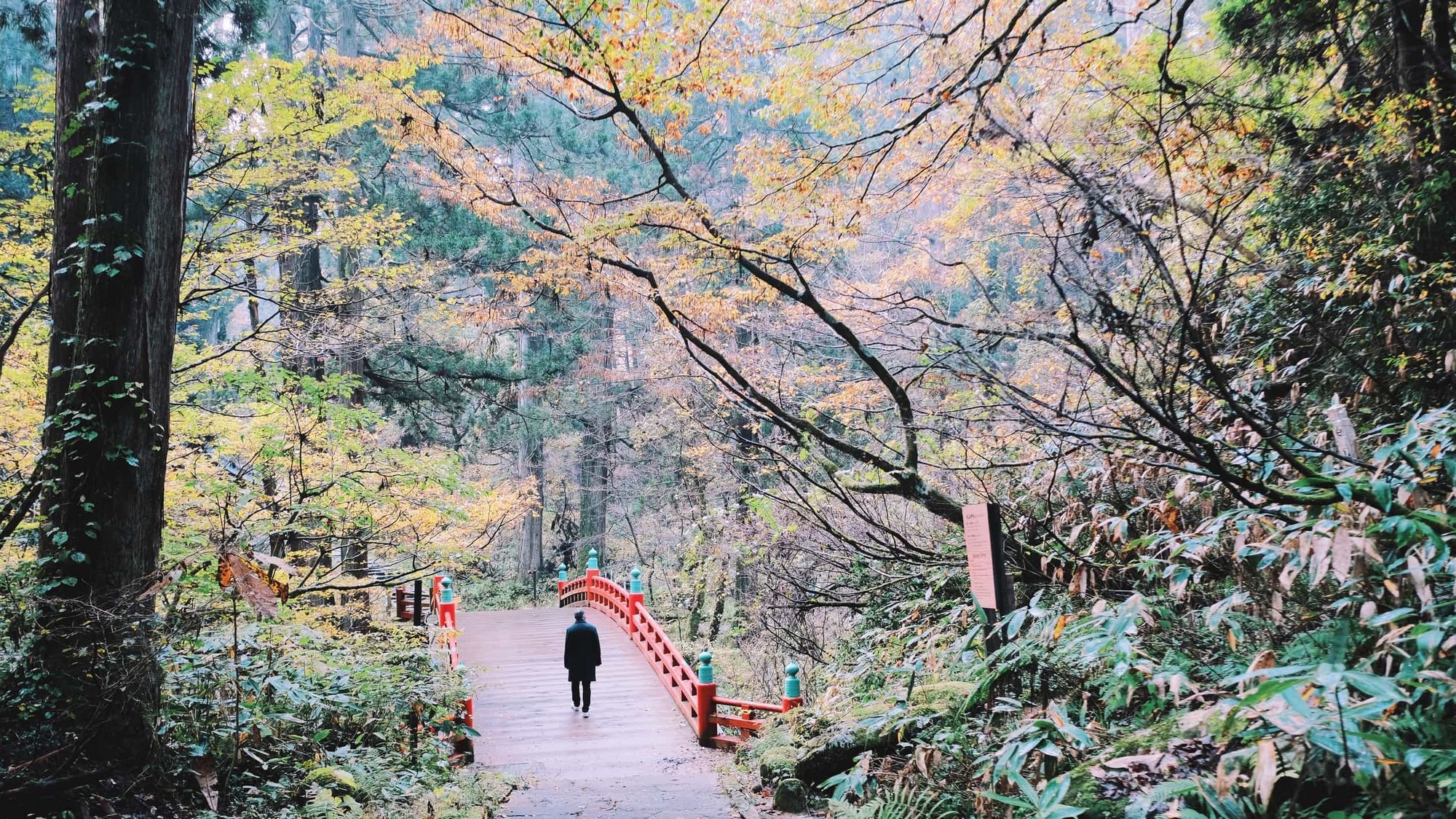 Hiking to Mount Haguro