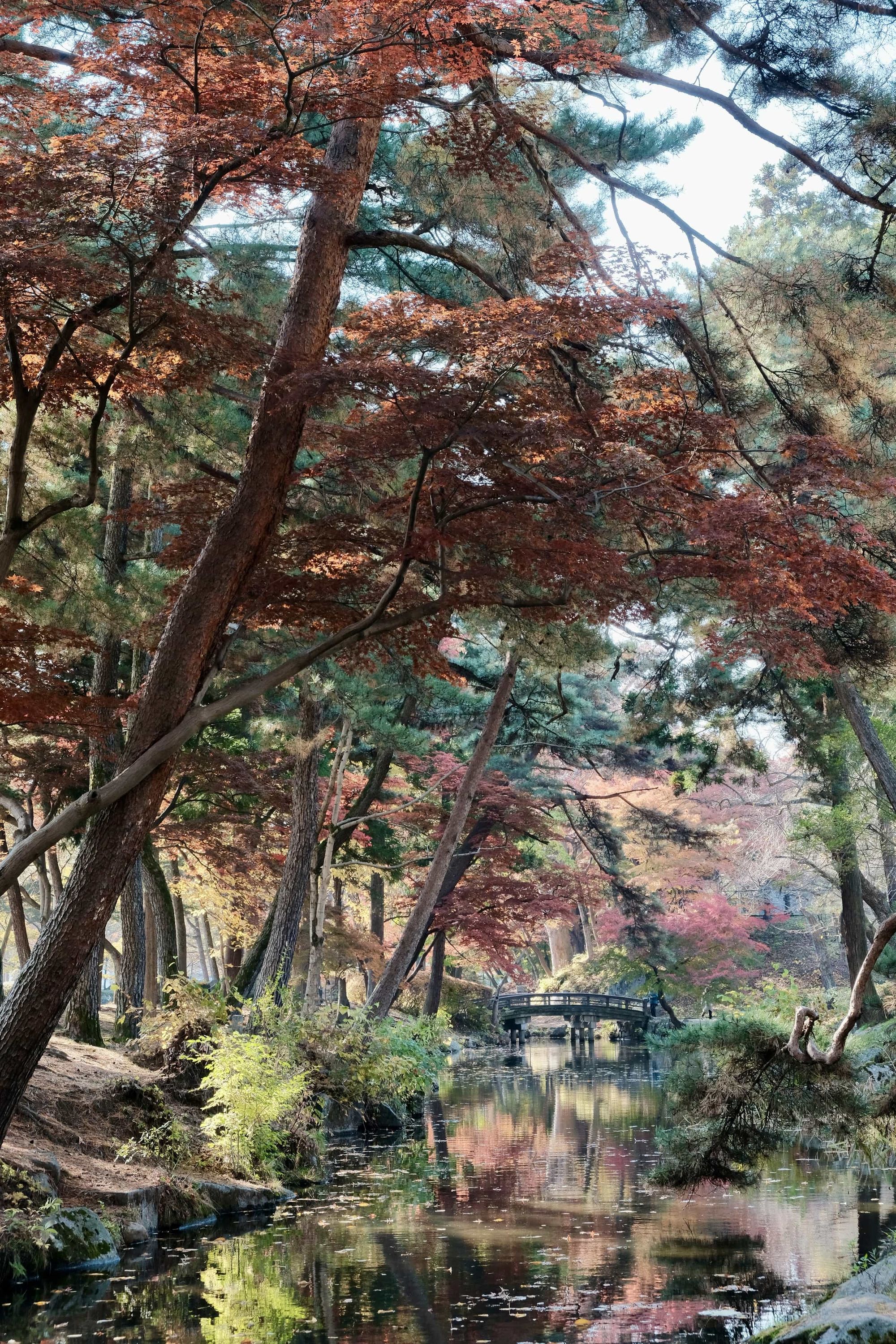 Autumn leaves at a stream close to Morioka Castle park