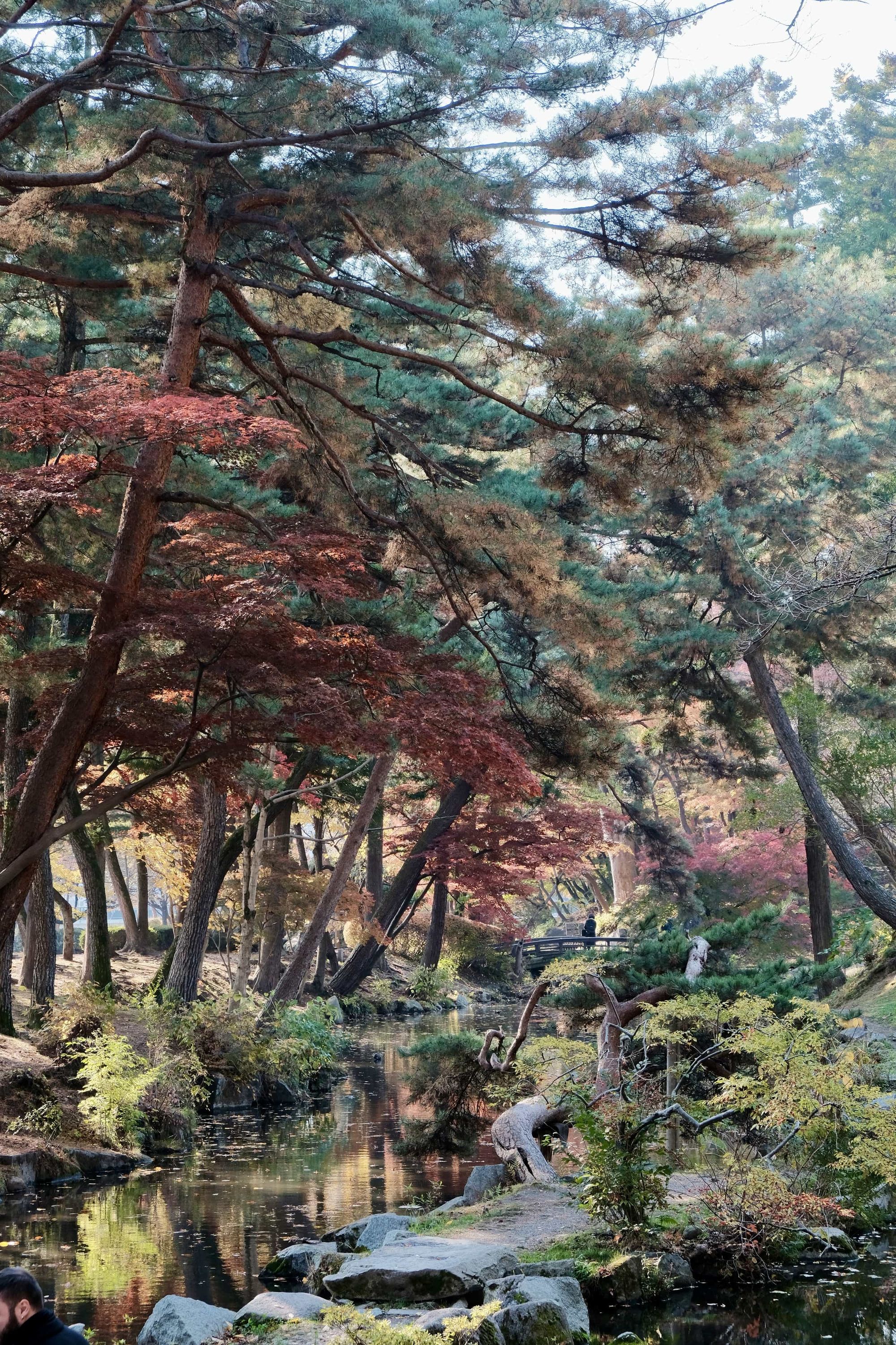 Autumn leaves at a stream close to Morioka Castle park