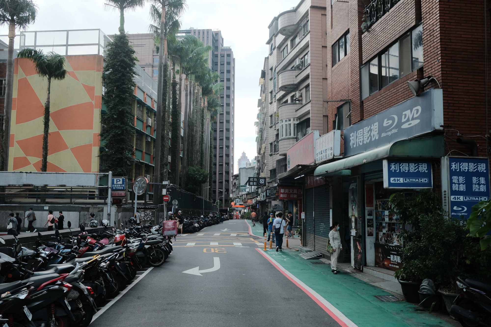 Taipei Alley with palm trees